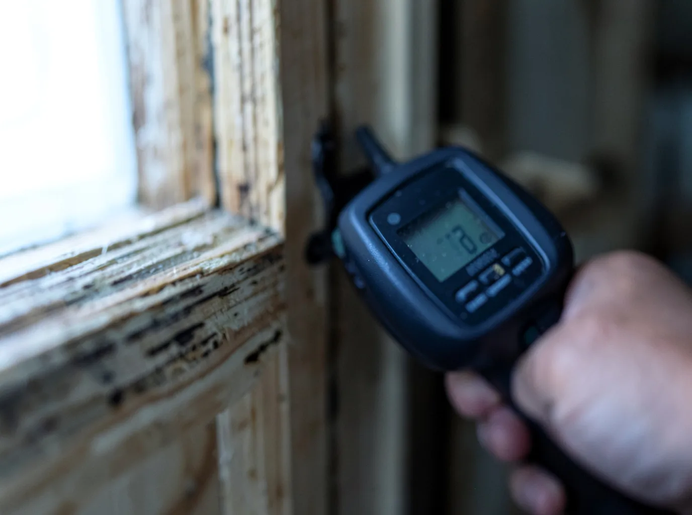 Water Damage Restoration Renton, WA FAQs